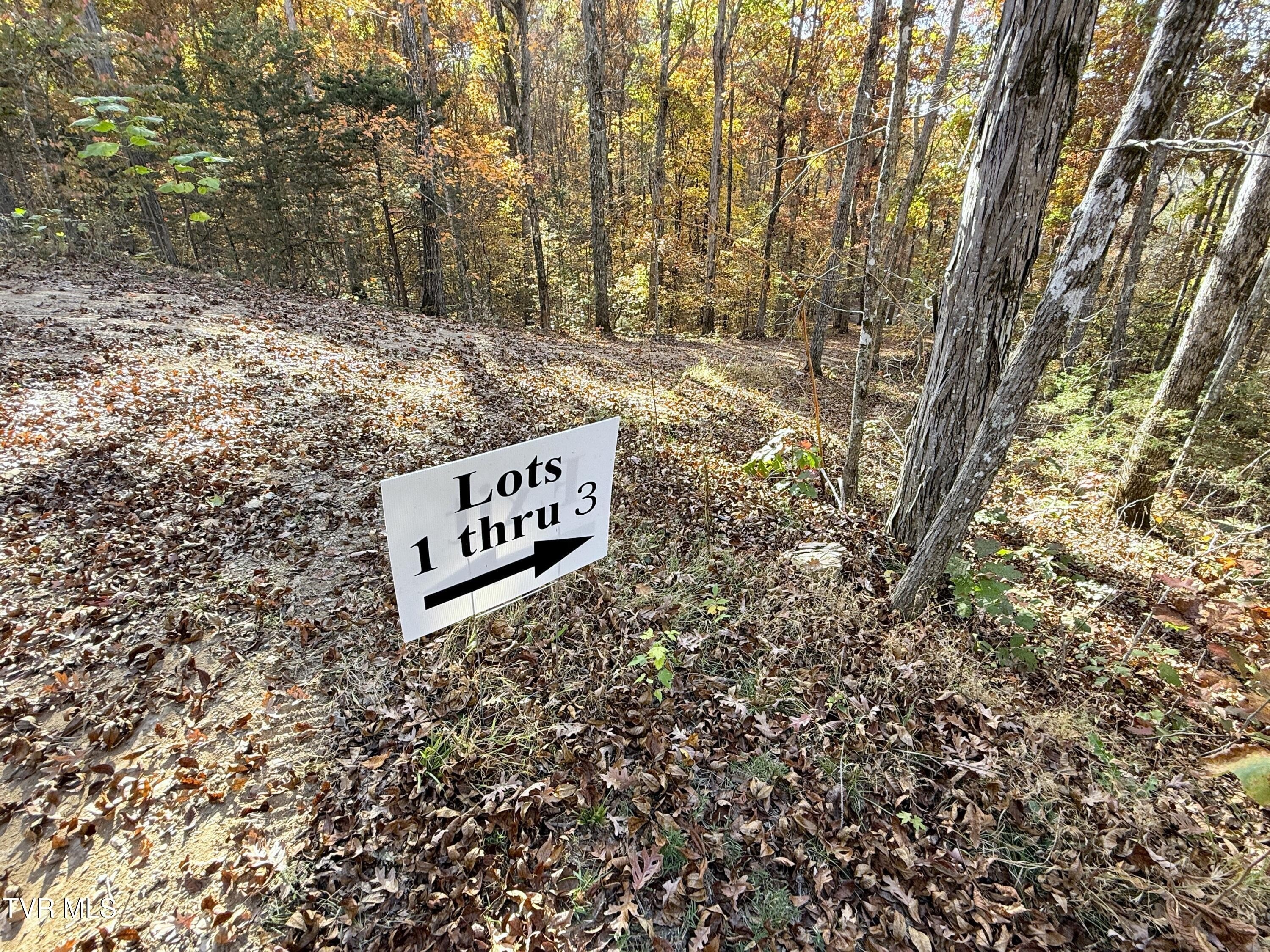Parrottsville Land for Homesteading
