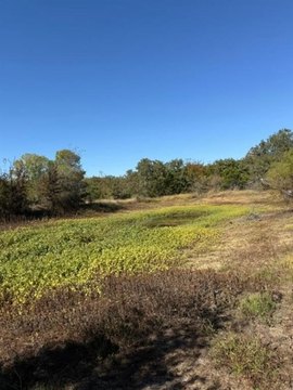 Secluded Land Near Highway 281