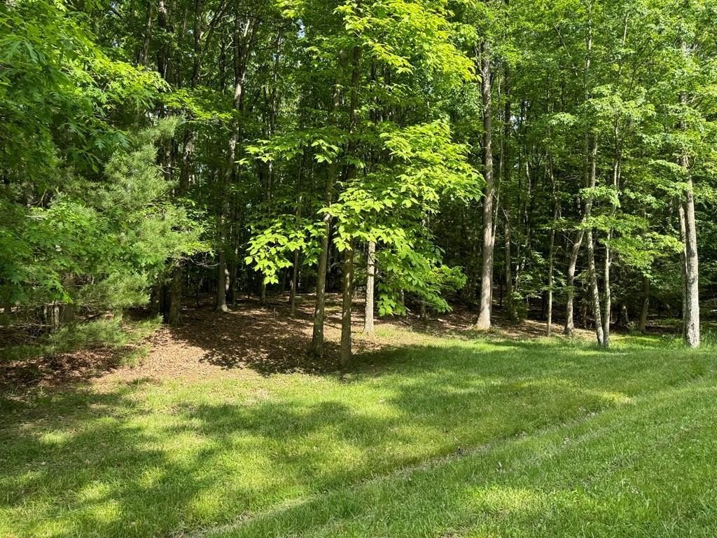 Daniels WV Gated Community Lot