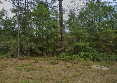 LAND - Georgetown, FL