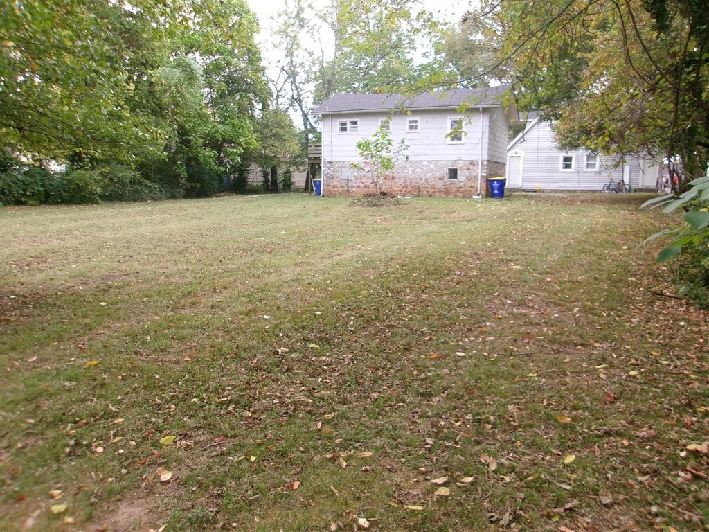Picture 16