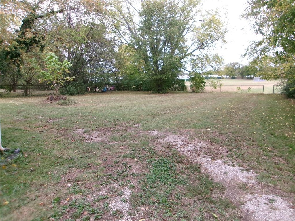 Picture 13