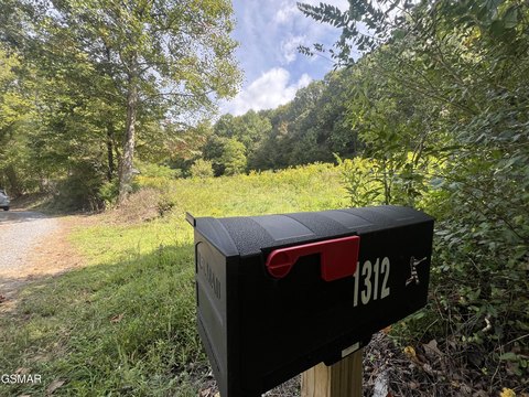 Tranquil 55+ Acre Land Parcel