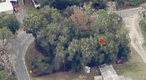 Land, CITRA, FL