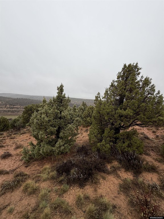 Picture 27
