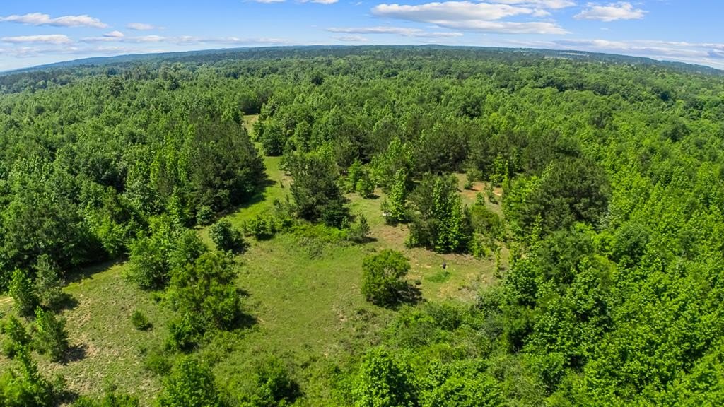 Nacogdoches Land Opportunity