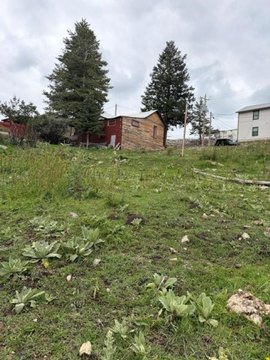 LAND, Cloudcroft, NM