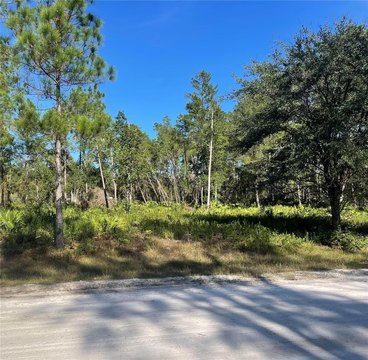 Spacious Buildable Lot Near River