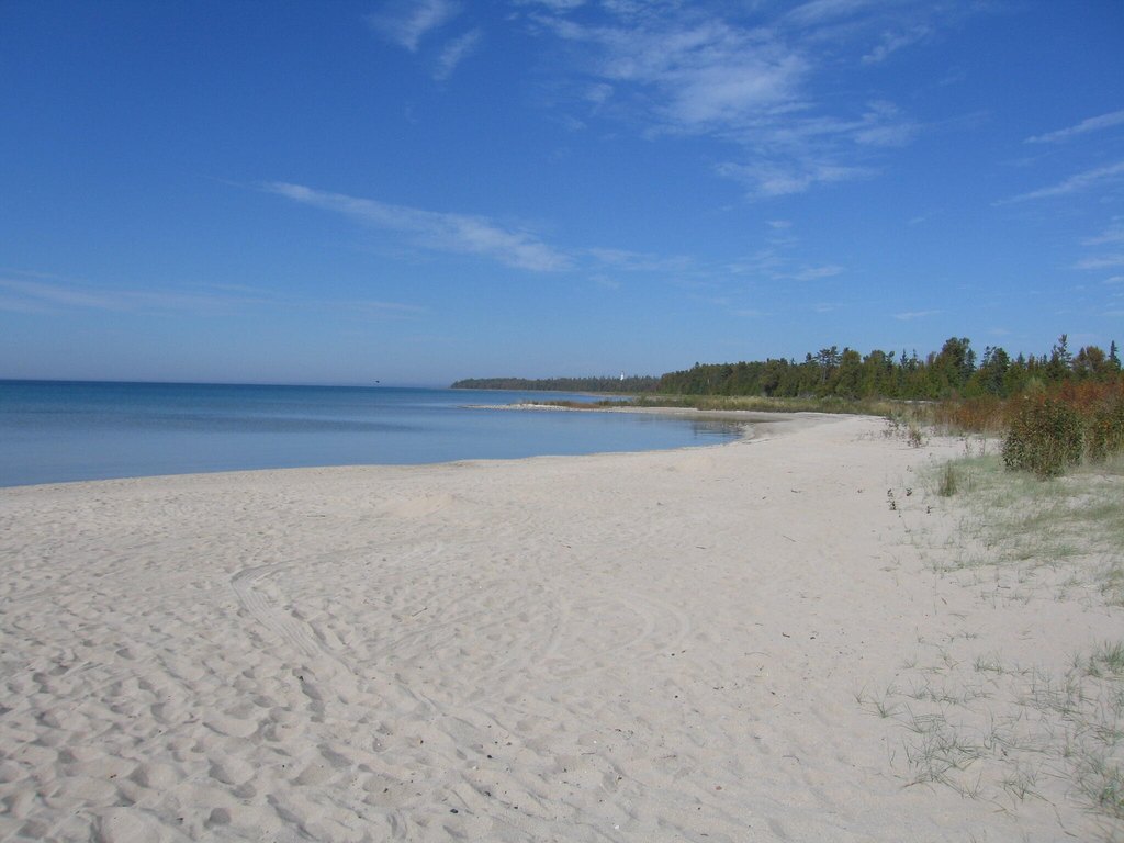 Picture 15
