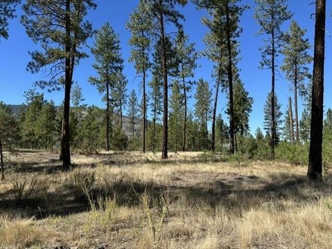 Land, KETTLE FALLS, WA