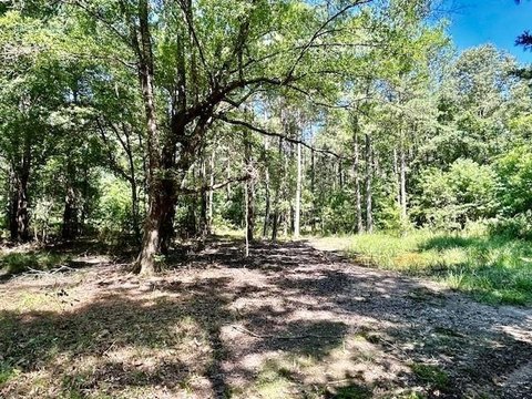 Wooded Hunting Land with Trails