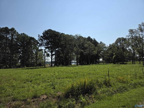 Recreational Lot Near Weiss Lake