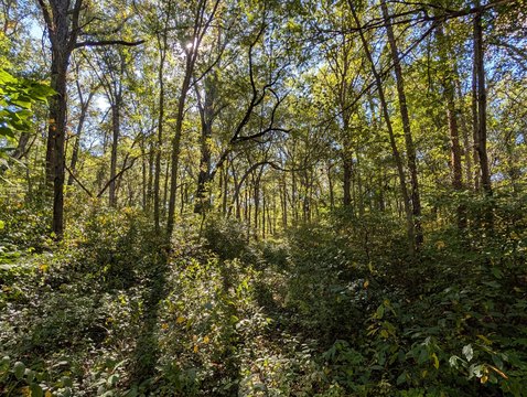 Land Near Kankakee River