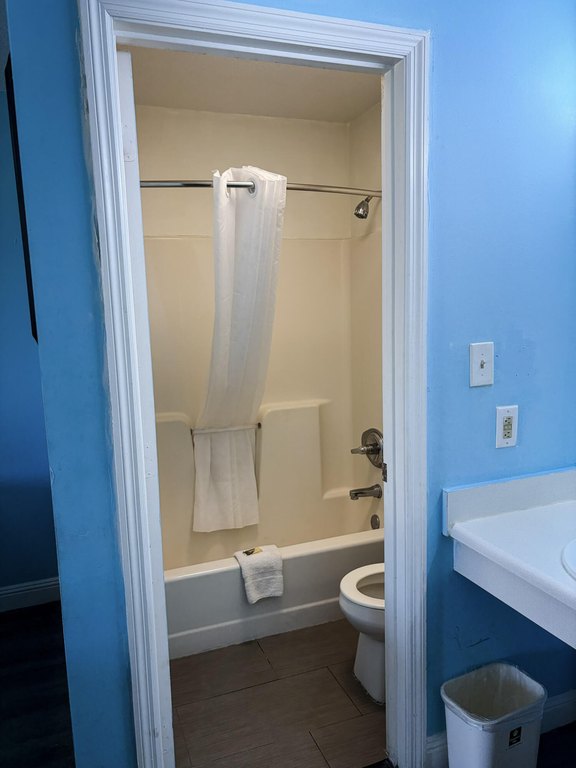 Picture 29