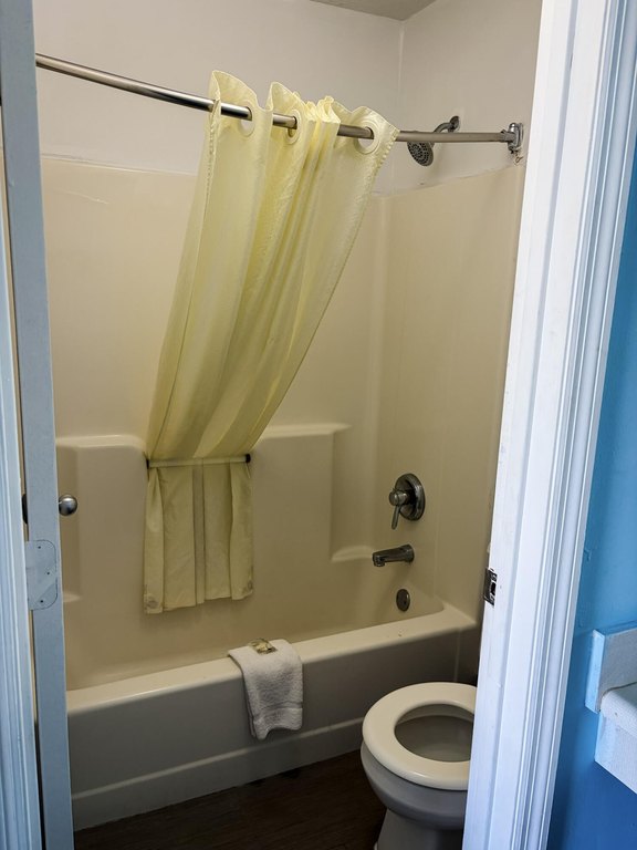 Picture 24