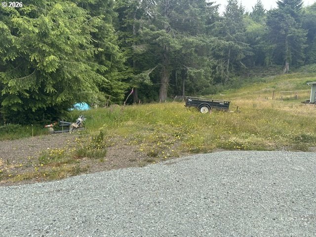 Picture 3