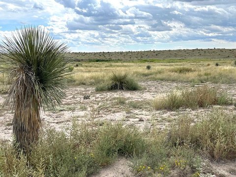 5 Acre Tract in Marfa