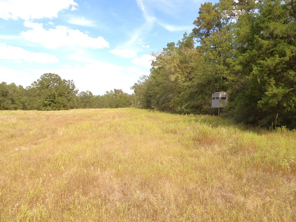 Picture 10