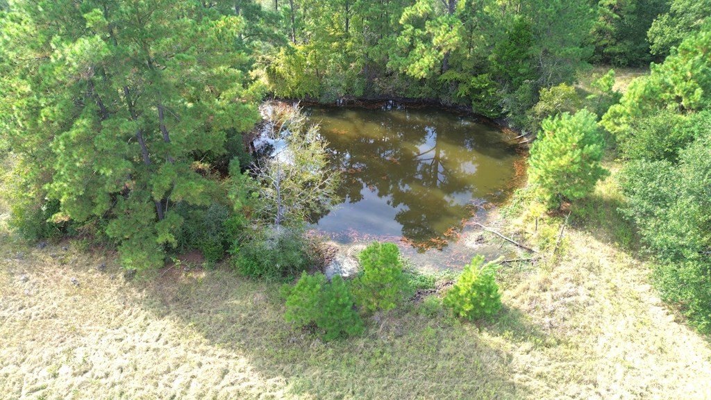 Picture 28