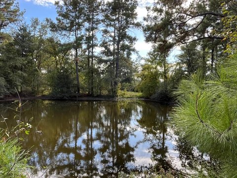 Secluded Pennington Land with Creeks