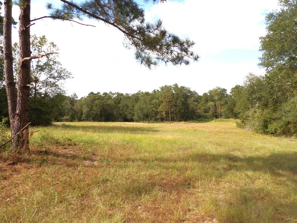 Picture 16