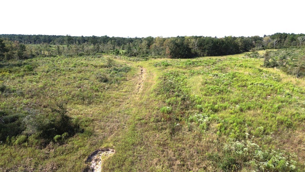 Picture 17
