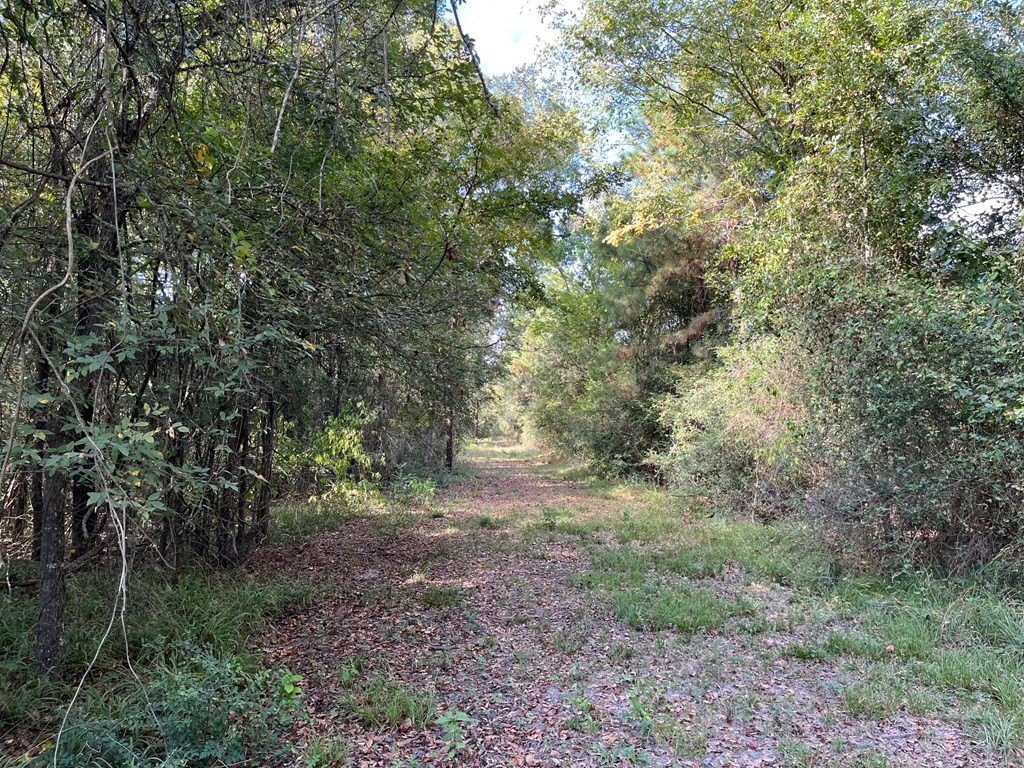 Picture 38