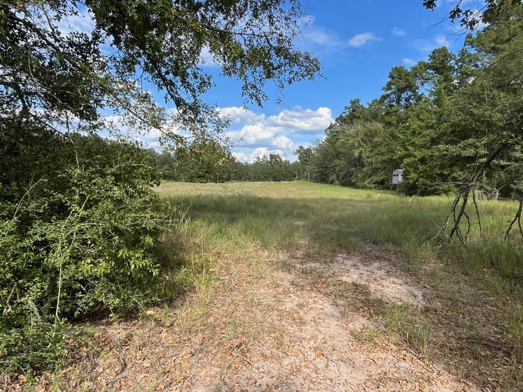Picture 36
