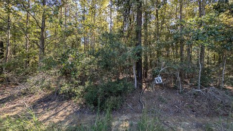 Land, Summerton, SC