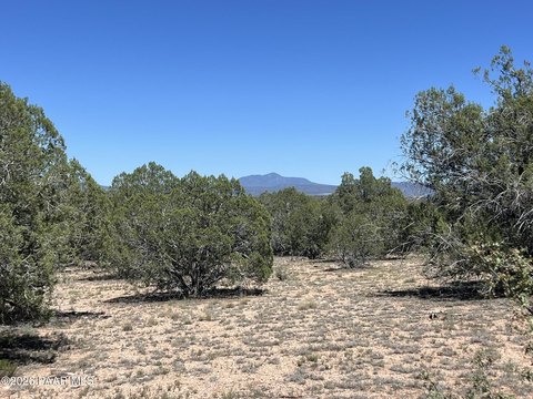 LAND - Ash Fork, AZ