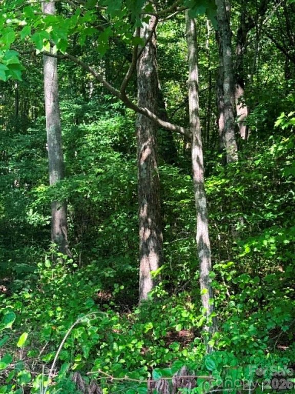 Picture 7