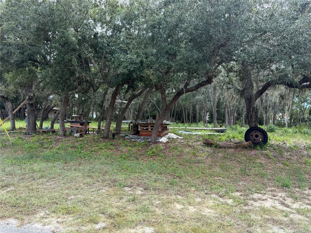Picture 3