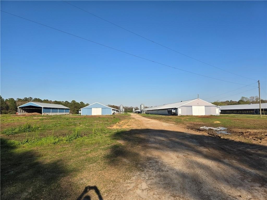 Turnkey Poultry Breeder Farm