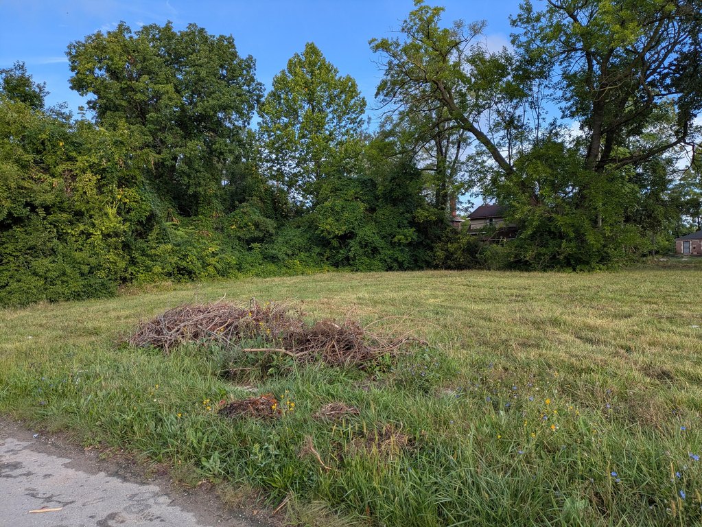 Picture 6