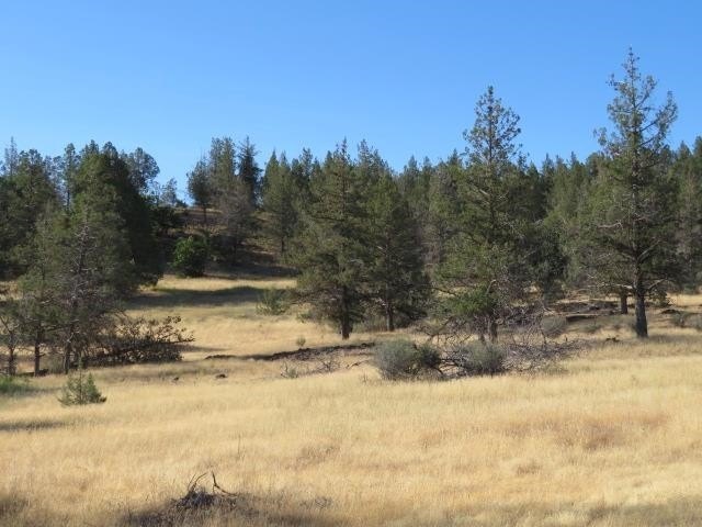 Scenic Corner Lot in Hornbrook