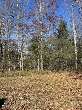 Rockbridge Baths Building Lots