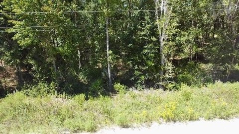 Residential Lot in Williston, Florida