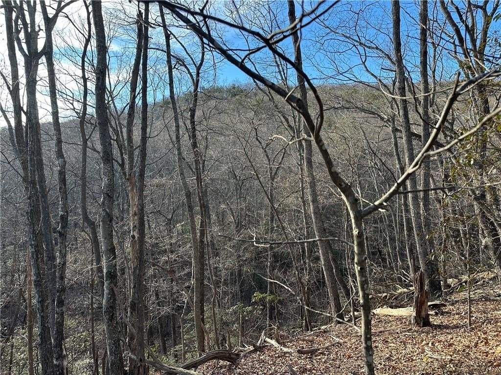 Land with Creek in Bent Tree