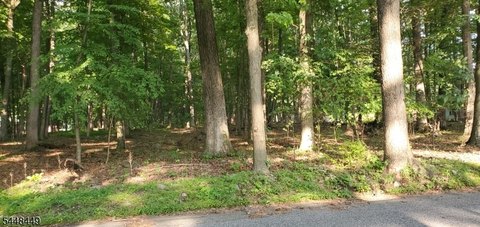 LAND - Knowlton Twp., NJ