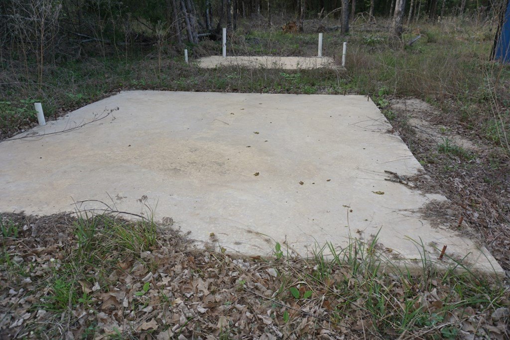 Picture 8