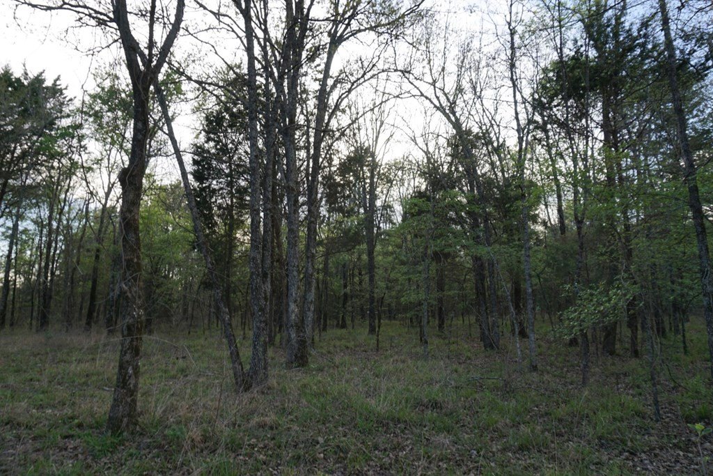 Picture 14
