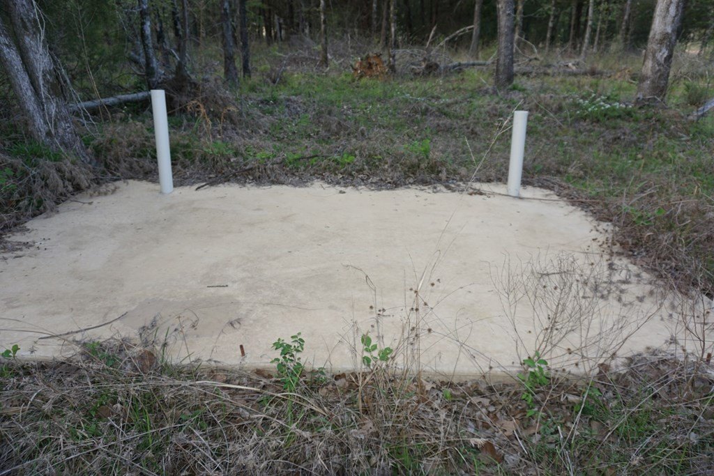 Picture 15