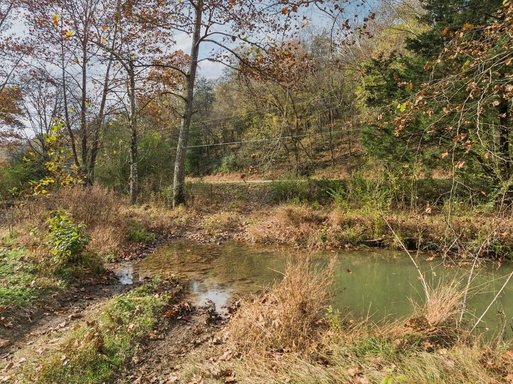 Picture 17