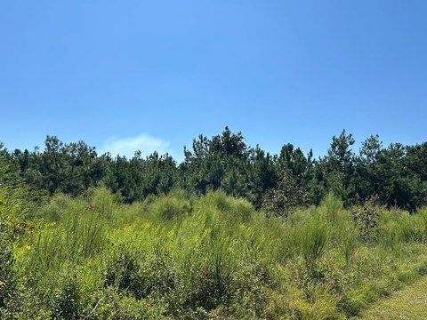 LAND - Valdosta, GA