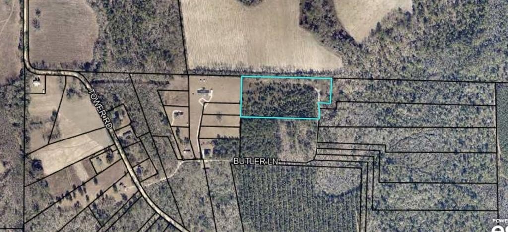 Picture 3