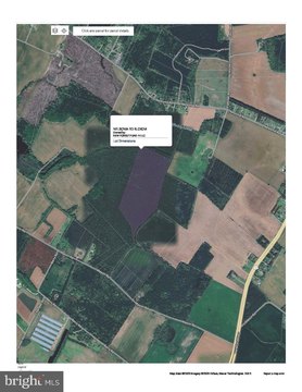 37 Acres Hunting/Recreation Land