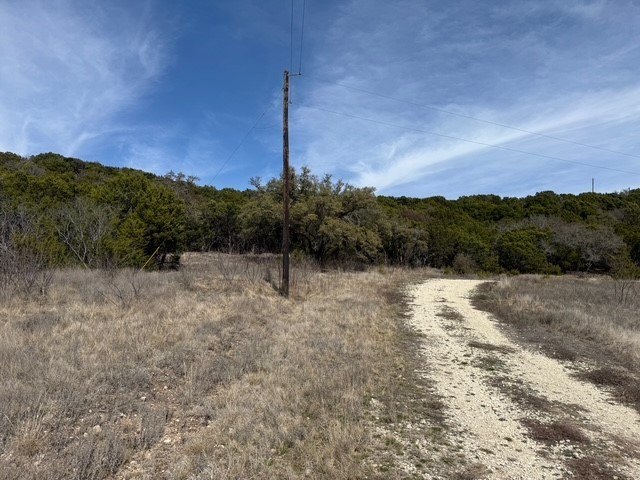 Picture 13
