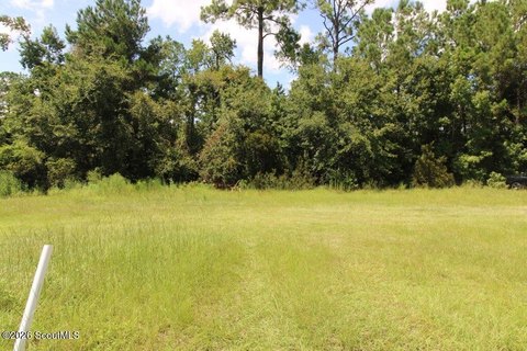 Land, Brunswick, GA