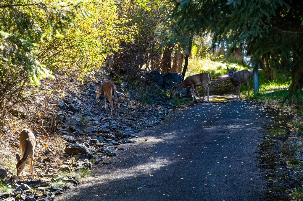 Picture 21