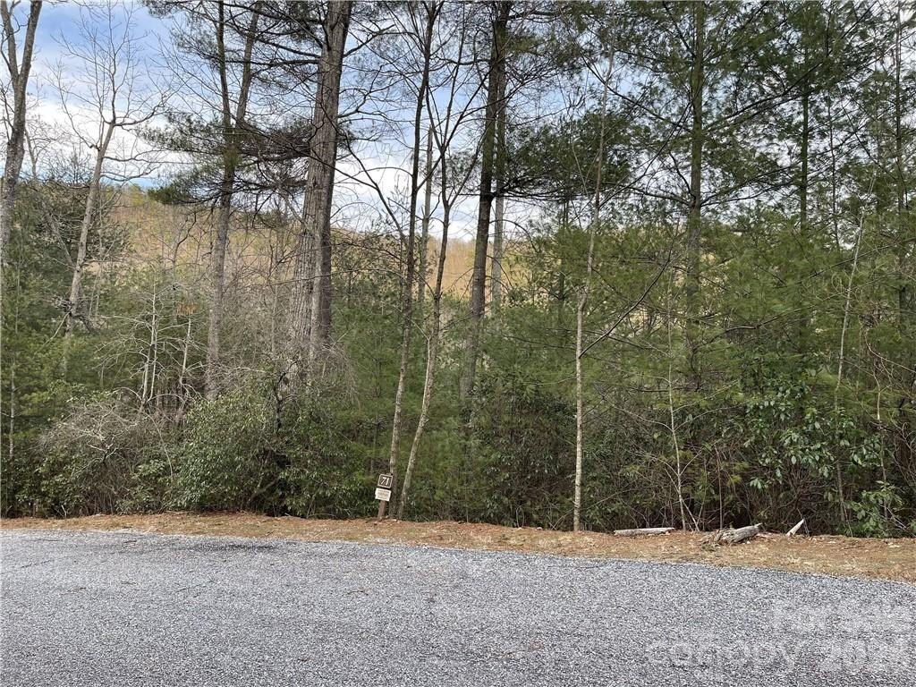Land in Pinnacle Falls Community